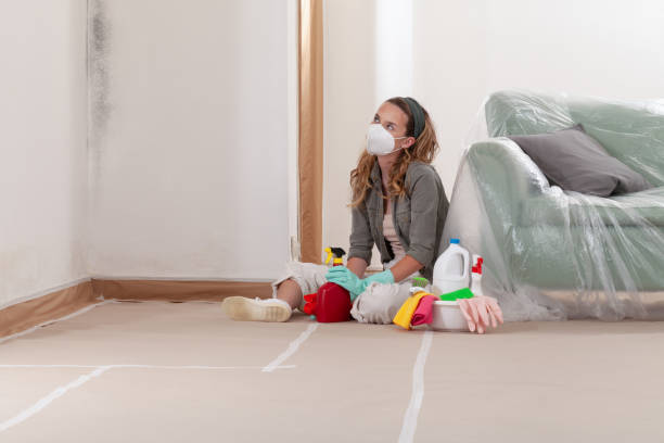Reliable Mold Remediation contractor in Massachusetts, MA by 24 Hour Mold Removal